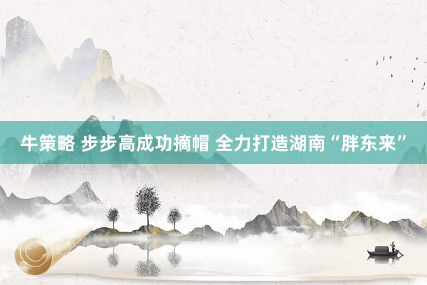 牛策略 步步高成功摘帽 全力打造湖南“胖东来”