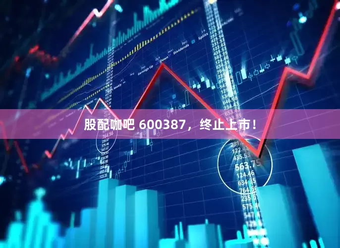 股配咖吧 600387，终止上市！